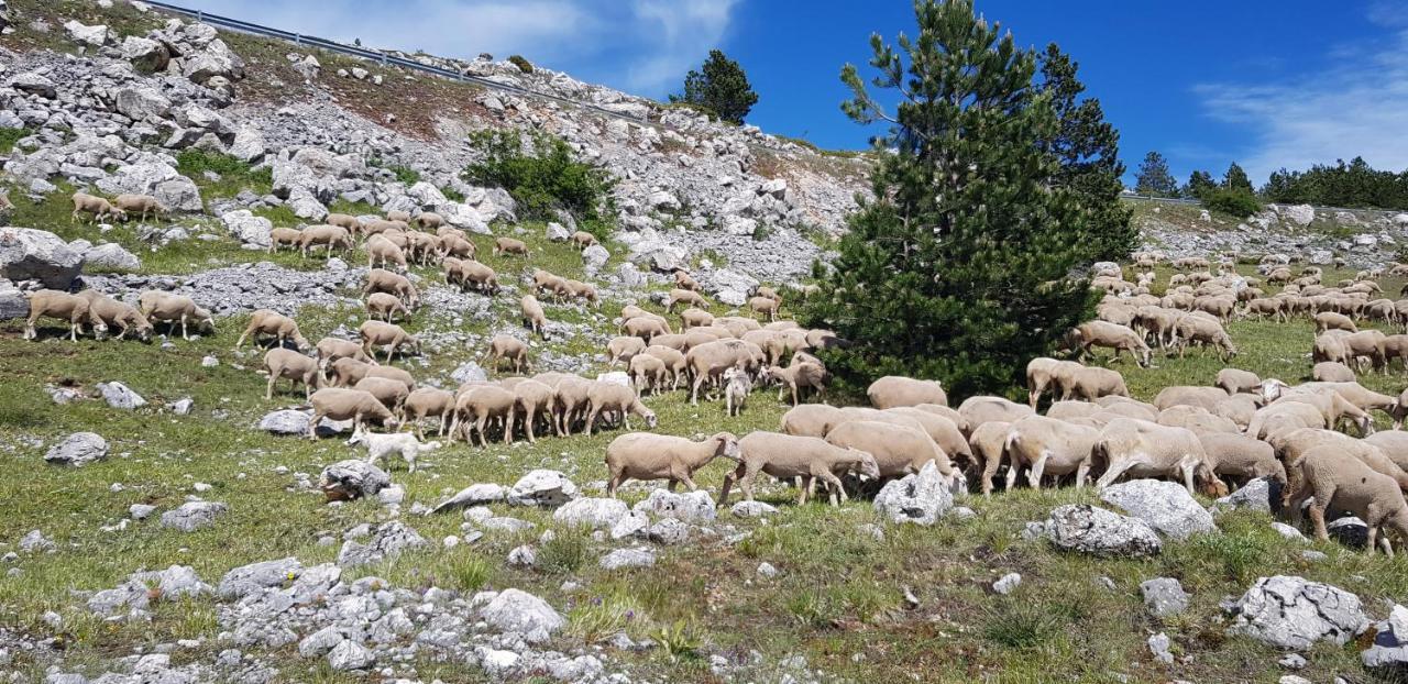 Pianadinavellihouse San Pio delle Camere